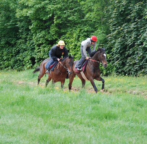 American_Art__Horsford_gallops