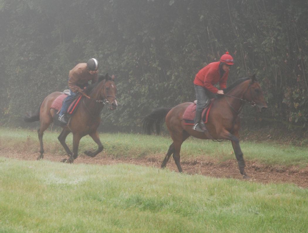 Barton_Stacey__Smiles_for_Miles_gallops