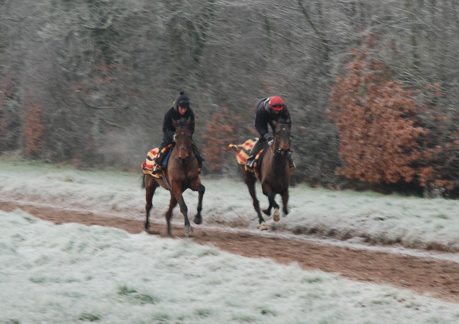 Bathwick_Brave__Regal_County_gallops