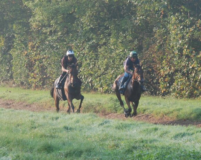 Bathwick_Brave__Shoegazer_gallops