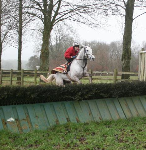 Chartreux_hurdles