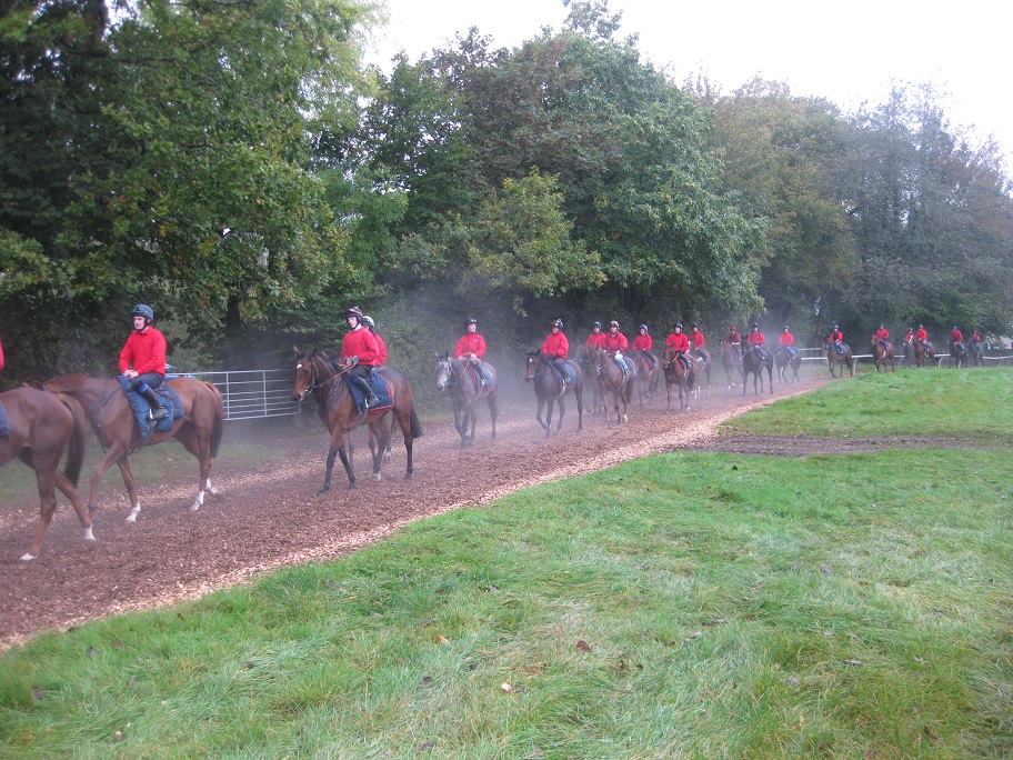 Chester_top_gallops_141014