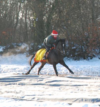 Christmas_day_gallops_2010_Sultan_Fontenaille