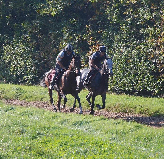 Dan_Breen__Rose_of_the_Moon_gallops