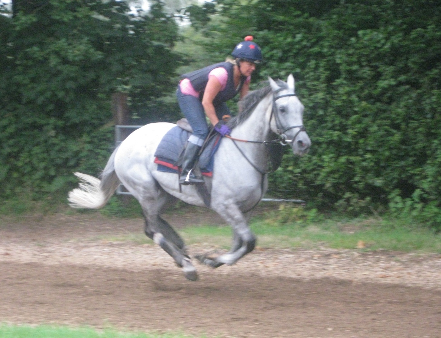 Dynaste_Gallops_sept14