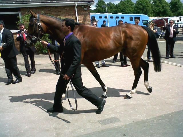 Frankel_Royal_Ascot_2012