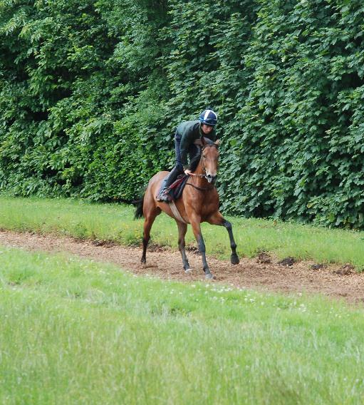 Frosted_Grape_gallops2