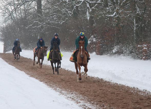 Galloping_in_the_snow_211210
