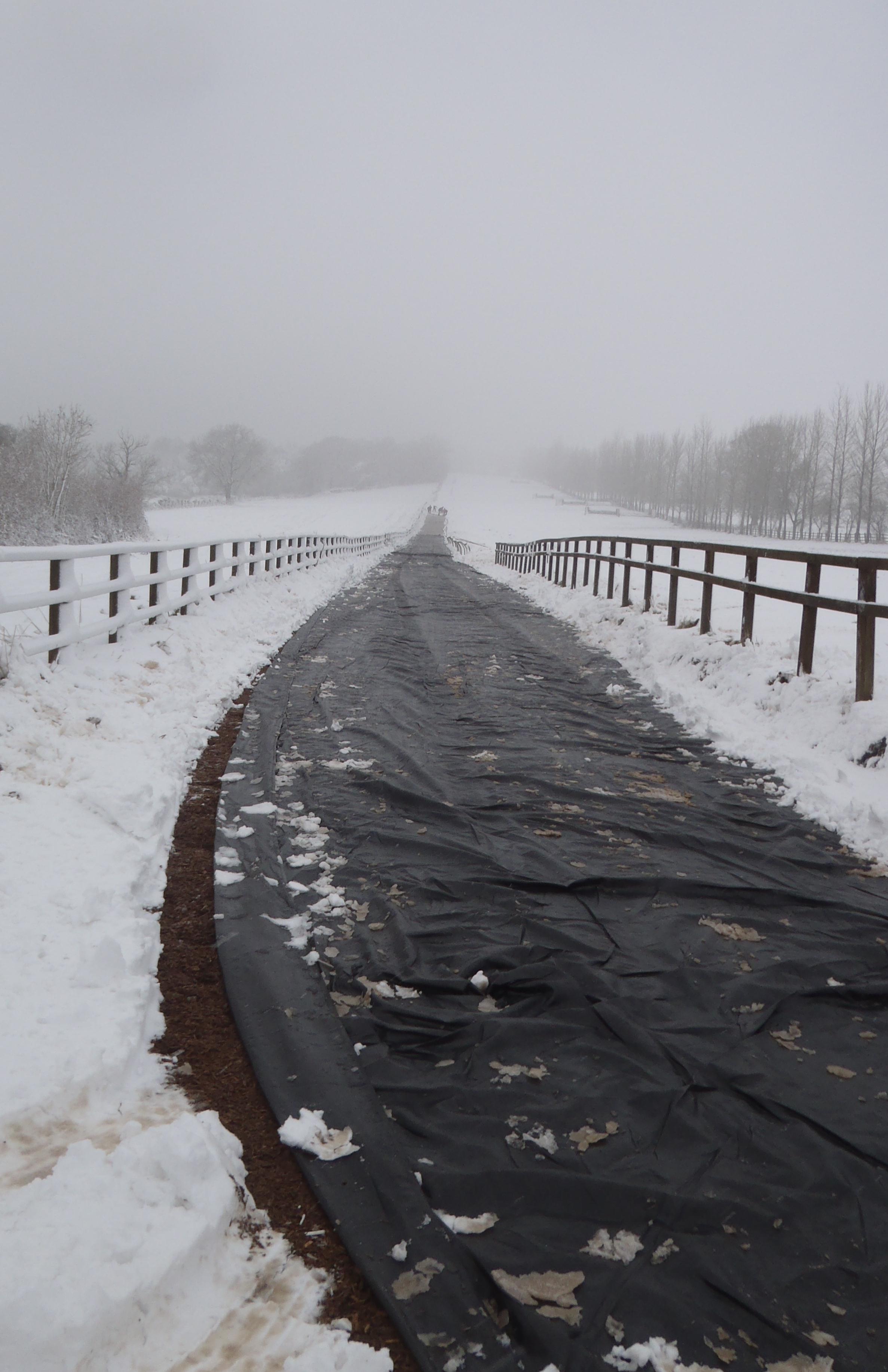 Gallops_snow_covers_jan13