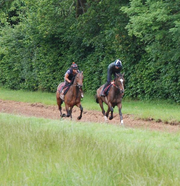 Grand_Exit__Horsford_gallops