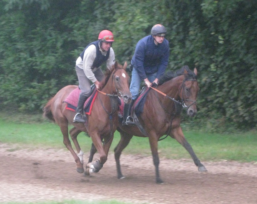 Lady_of_Longstone__Easter_Meteor_gallops_sept14_web