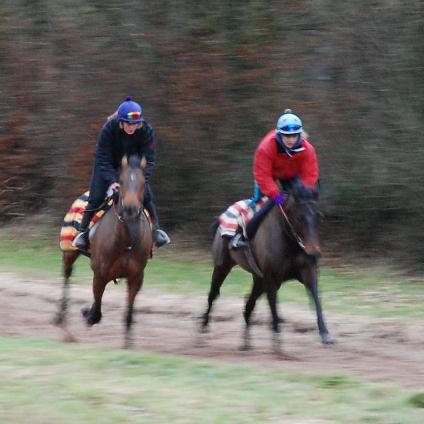 Lough_Derg__The_Tatkin_gallops