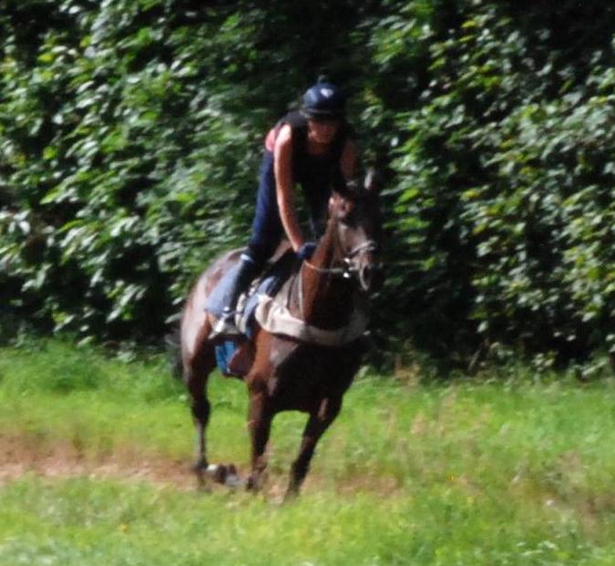 Molly_Oscar_gallops_web