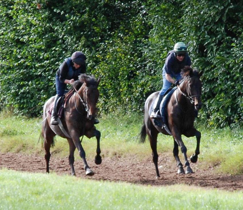 Oddjob__Basil_Fawlty_gallops