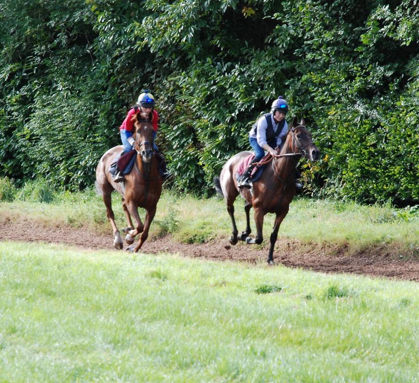 Poole_Master__High_Ville_gallops