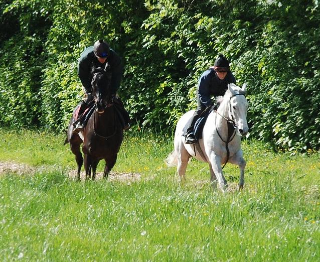 Qulinton__Spanish_Cruise_gallops