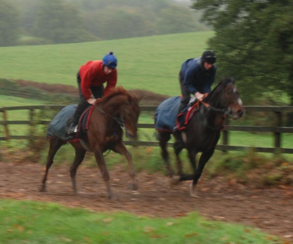 Red_Sherlock__The_Darling_Boy_gallops