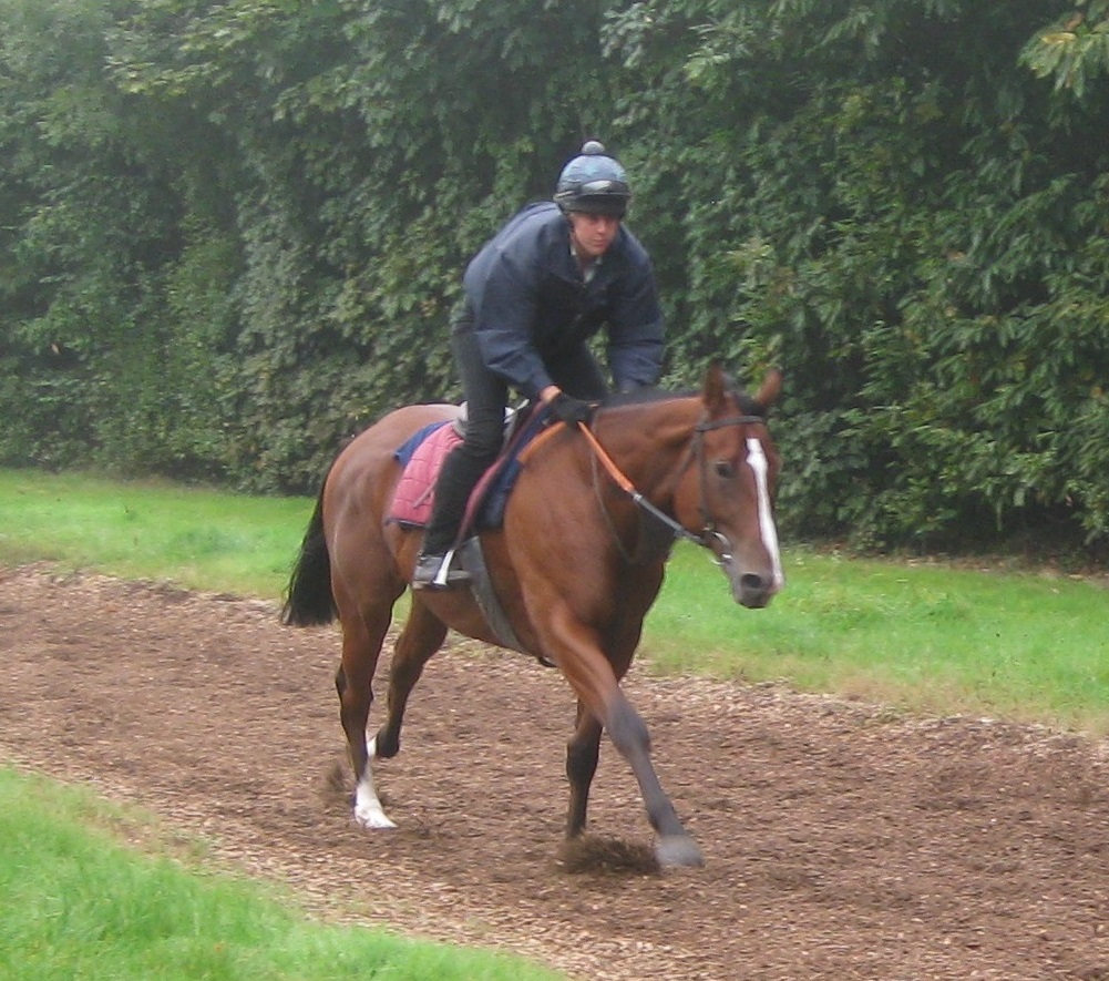 Sivron_gallops_sept14