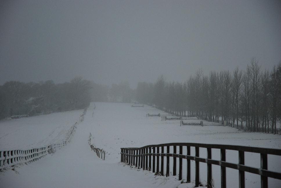 Snow_gallops_jan13_web