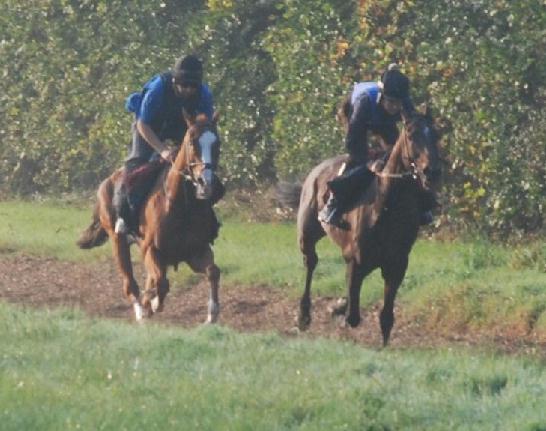 Southerness__Soulard_gallops