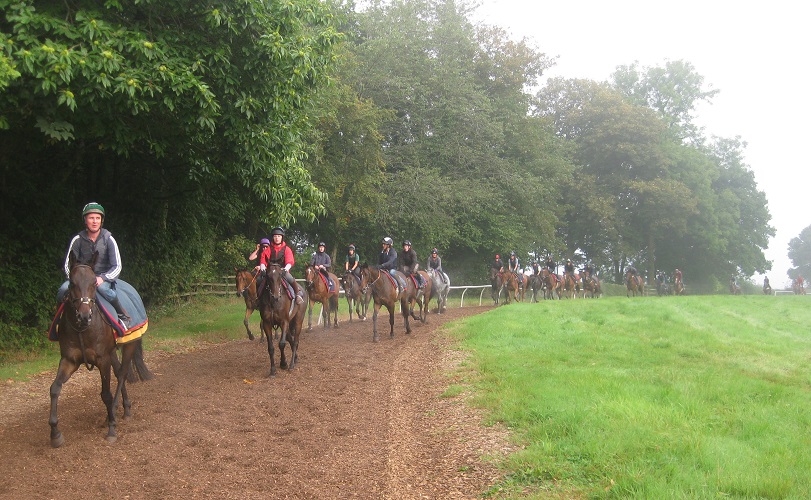 String_Gallops_Sept14_web