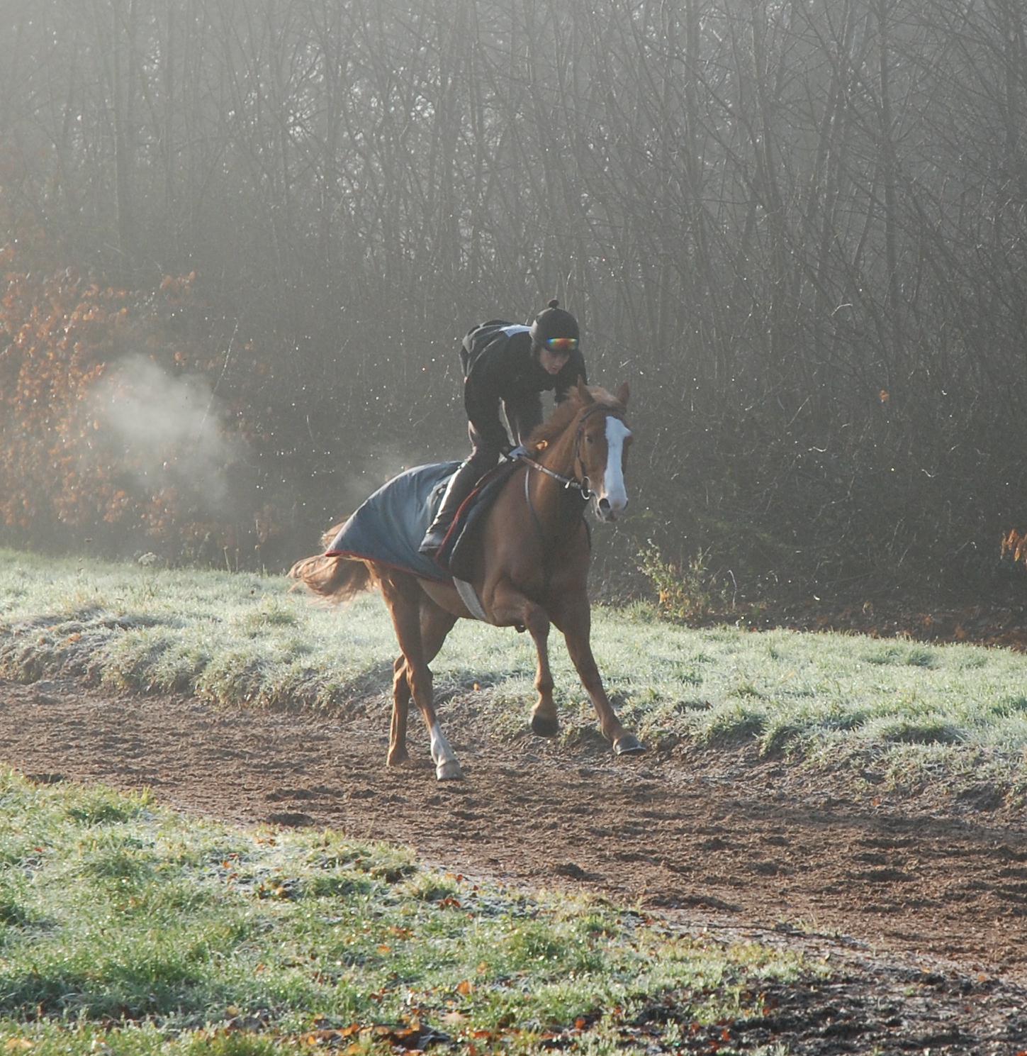 The_Pier_gallops