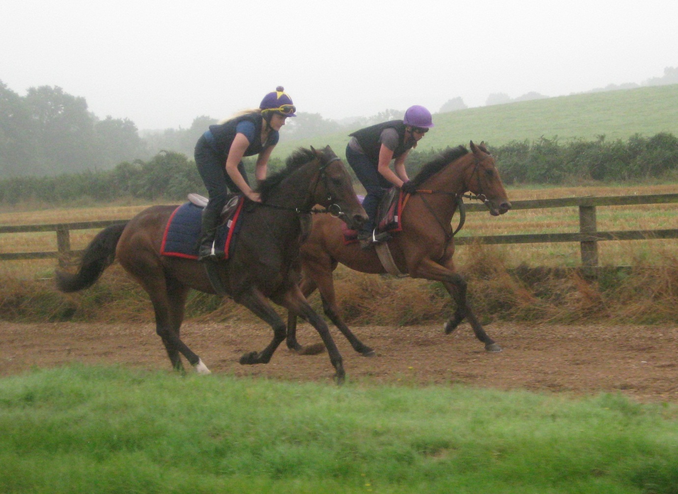 Tullyesker_Hill__Dellarca_gallops_Sept_14