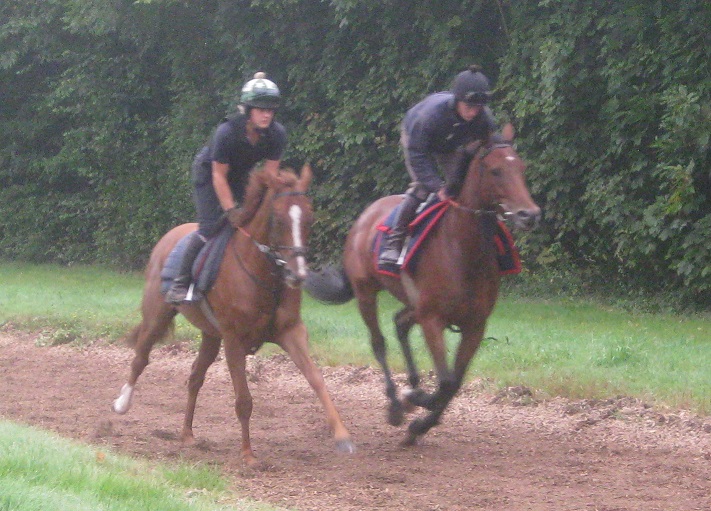 Unanimite__Moon_Racer_gallops_sept14_web