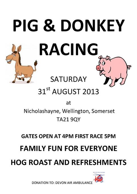 pig__donkey_racing